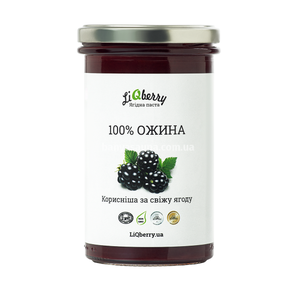 Ягодный морс для бани. Паста LiQberry Ежевика, 0,545 л