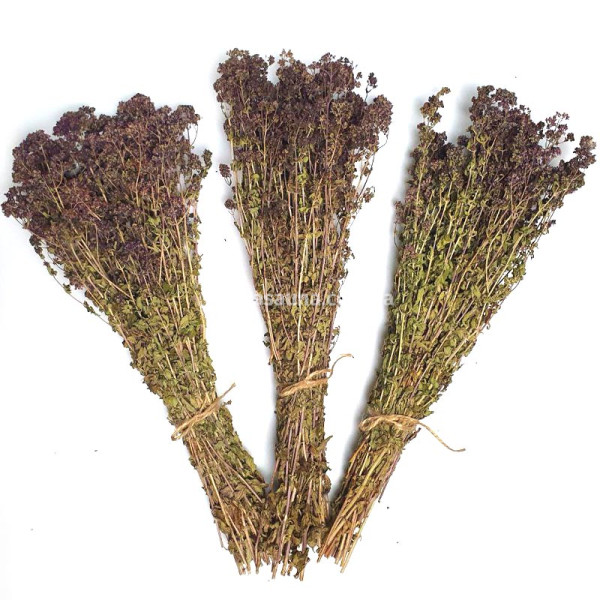Трава для лазні Душиця