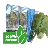 Купить Банный комплект. Набор 4 свежих веника (береза + канадский дуб) Украина Киев. Подарки, аксессуары, веники для бани и сауны