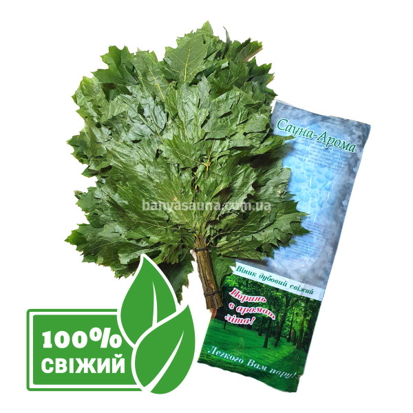 Свежий замороженный веник для бани Канадский дуб, 5 шт