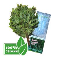 Купить Берёзовый свежий замороженный веник для бани Украина Киев. Подарки, аксессуары, веники для бани и сауны