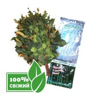 Купить Липа-Берёза. Свежий замороженный веник для бани Украина Киев. Подарки, аксессуары, веники для бани и сауны
