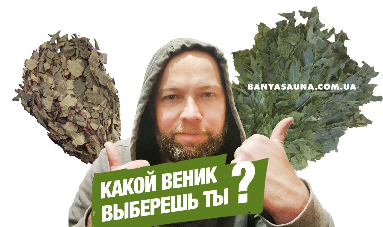 Способы заготовки веника для бани. Сухой или замороженный банный веник, купить в Киеве с доставкой по Украине